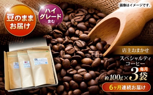 【6回定期便】コーヒー豆 100g×3 自家焙煎ハイグレードコーヒーを含むおまかせセット(豆のまま) /  COFFEE ハイグレードコーヒー ブレンド コーヒー豆 豆 珈琲 こーひー コーヒー 焙煎 珈琲 飲み比べ 毎月届く/ 諫早市 / R and R coffee labo [AHCJ042]