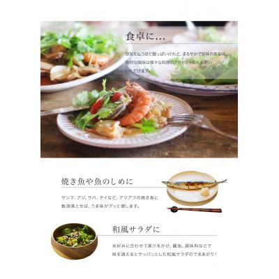 ふるさと納税 北山村 じゃばら果汁360ml×10本【njb211-y10】 |  | 03