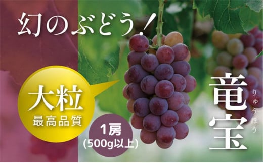 【令和7年産予約】幻の赤ブドウ竜宝1房（500ｇ以上）