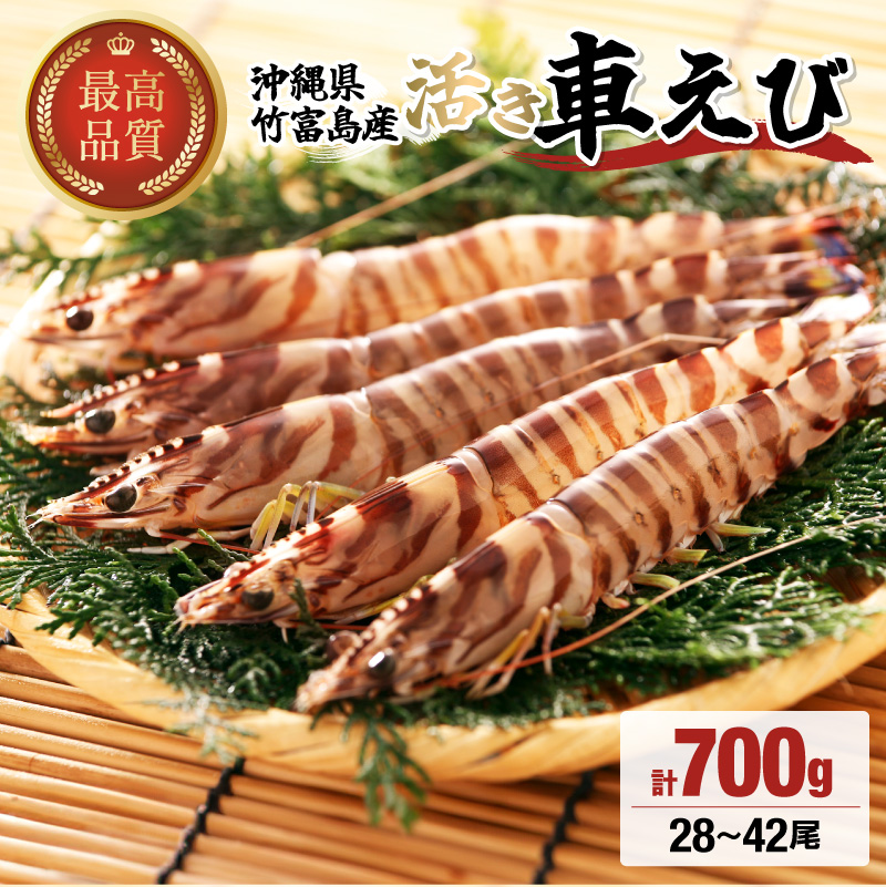 竹富島産 活車えび 700g:28~42尾