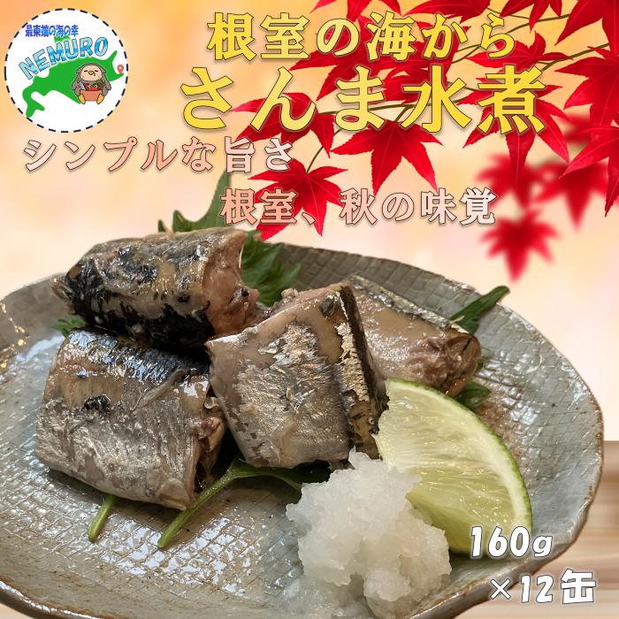 【ふるさと納税】[北海道根室産]さんま水煮160g×12缶 A-78039