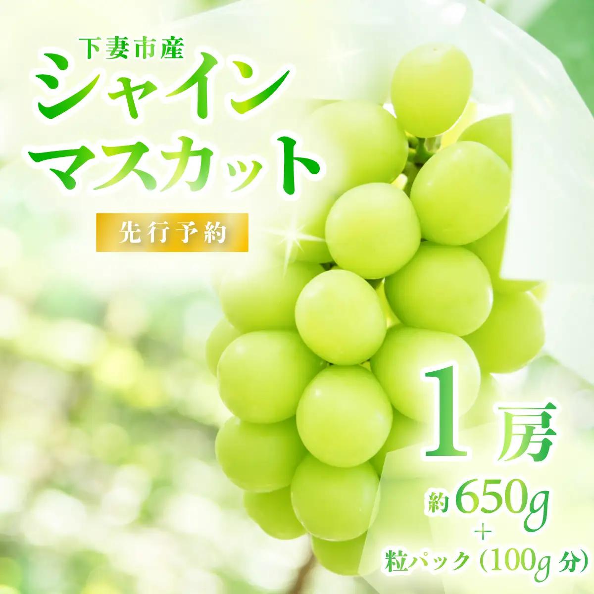 シャインマスカット  1房 ( 約650g ) + 粒パック100g シャインマスカット