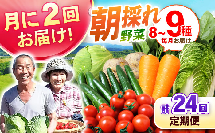 月2回お届け 【24回定期便】諫早産 野菜の詰め合わせ 8～9品目程度 / 季節 旬 野菜 やさい 春野菜 夏野菜 秋野菜 野菜セット 詰め合わせ 野菜定期 野菜定期便 定期便 / 諫早市 / 肥前グ