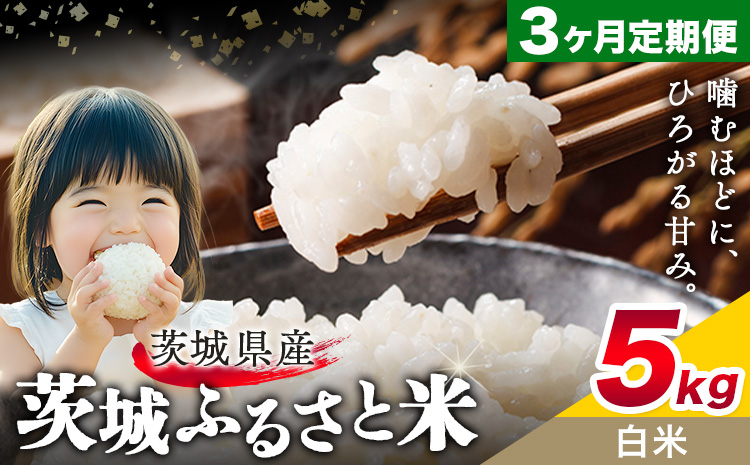 米 茨城 ふるさと米 白米 5kg 5kg×1袋 3回お届け 定期便《お申し込み月の翌々月から出荷開始》茨城県 結城市 米 国産 お米 おこめ お弁当 おにぎり