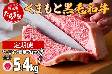 【定期便 3回】くまもと黒毛和牛 サーロインステーキ 【豪華ブロック】約1.8kg×3回 隔月配送 ブランド 牛肉 ステーキ 熊本県