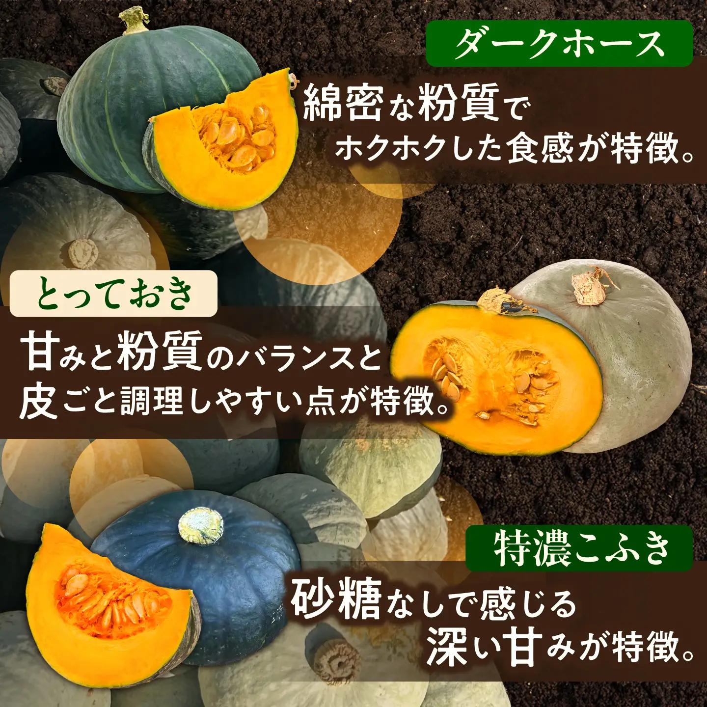 【先行予約】北海道 かぼちゃ 訳あり ダークホース・とっておき・特濃こふき 3種類×2個 【9月中旬以降発送】足寄町/足寄アグリバイオ株式会社 [BEAC015]