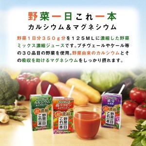 【3ヶ月定期便】カゴメ 野菜一日これ一本 超濃縮 カルシウム＆マグネシウム 125ml 紙パック 24本入 （野菜ジュース）