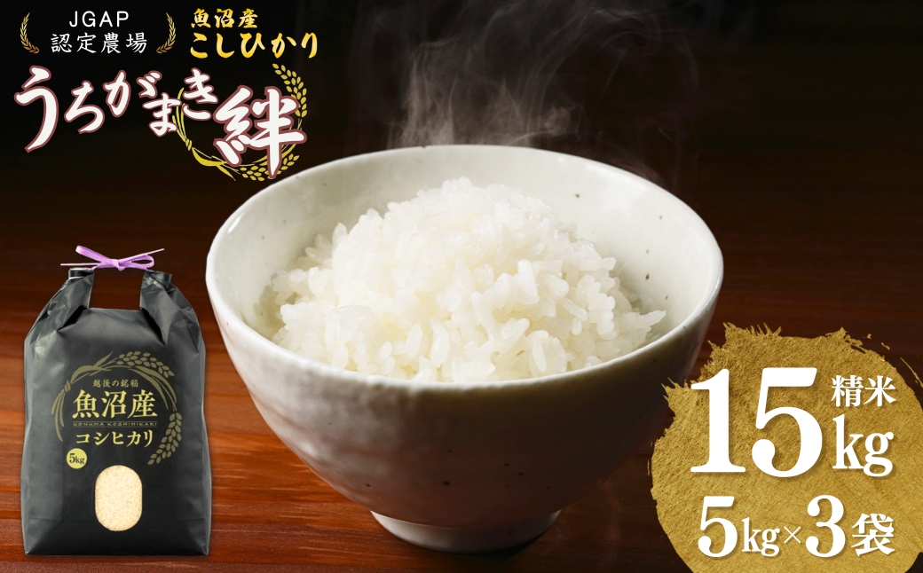 【JGAP認証農場】令和7年産 魚沼産コシヒカリ 精米15kg(5kg×3袋) うちがまき絆 | 新潟県産 コシヒカリ お米 米 おこめ こめ コメ こしひかり 精米 白米 魚沼産 ブランド米 人気 おすすめ 産地直送【0002-UK03-02】
