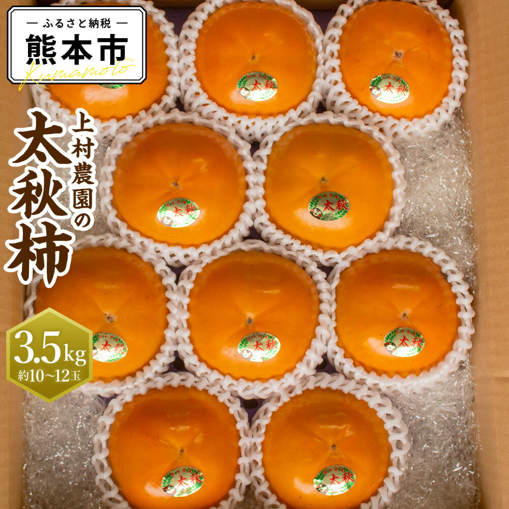 【ふるさと納税】 上村農園の太秋柿 3.5kg (約10〜12玉) 太秋柿 柿 かき たいしゅうかき フルーツ くだもの 果物 果実 おやつ 熊本県 植木町産 常温 先行予約 送料無料 【2025年10月下旬～11月下旬迄発送予定】