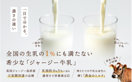 【定期便6カ月】 ヨーグルト 蒜山ジャージー贅沢ヨーグルト(90g)10個×6回 ご当地ヨーグルトグランプリ金賞 岡山 蒜山 真庭 プレゼント 贈答 セット デザート ギフト 牛乳 冷蔵 【hiru-