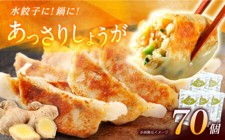 【お中元対象】【5パック】餃子屋ヒロの しょうが餃子【餃子屋ヒロ】開成町 餃子 点心 惣菜 冷凍[BDAS006-3]