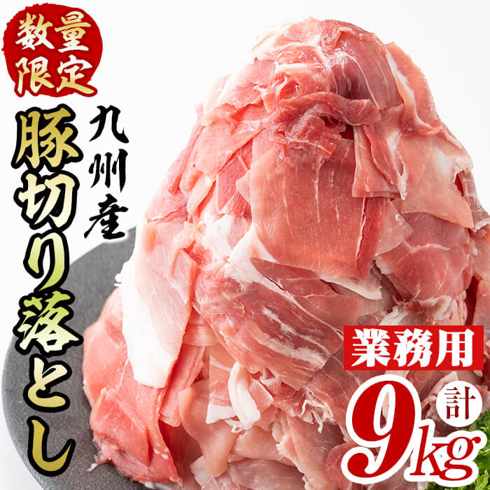 【ふるさと納税】【工場直送 業務用】九州産豚切り落とし＜計9kg(300g×30P)＞ 肉 国産 豚肉 切り落とし 国産 九州産 小分け 真空パック しゃぶしゃぶ【サンキョーミート】c0-137