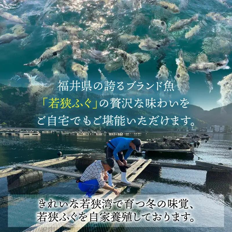 【先行予約/11月より順次配送】【着日指定可】若狭ふぐ てっさ と 鍋 Bセット 冷蔵【配送不可地域：北海道・沖縄・離島】小浜市 / ひろた[BFBQ007] ふぐ