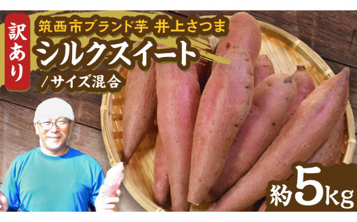 【 よしのいも 】訳あり 井上さつま 「 シルクスイート 」 サイズ混合 約5kg ( 土なし ) 完熟 さつまいも いも おいも 焼き芋 芋 おやつ まごころ野菜よしの [DX021ci]