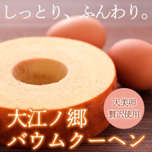 Y202 大江ノ郷セット