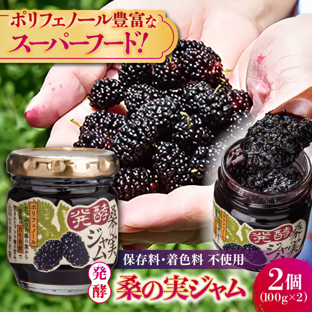 【ふるさと納税】発酵桑の実 ジャム 2個セット（100g×2） 【株式会社 峯樹木園】[AYBM011]