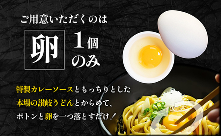 讃岐うどん 釜玉カレーうどん 24食