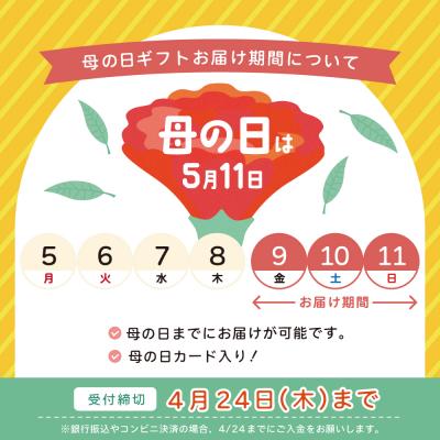 ふるさと納税 南さつま市 【母の日ギフト】【日本茶AWARD受賞】鹿児島緑茶と紅茶のセット(計250g) |  | 01