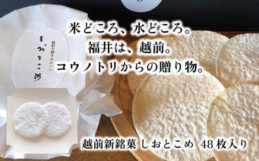 越前新銘菓 しおとこめ　48枚入り