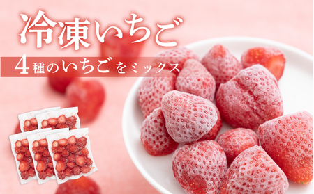 【冷凍いちご 】5袋詰合せセット　いちご　
