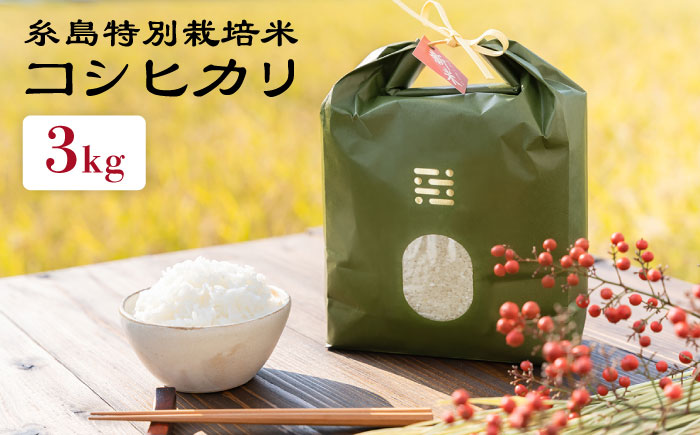 とくべつの中の とくべつ 糸島 特別栽培米 3kg （ コシヒカリ ）《 糸島 》【株式会社やました】 [ARJ001]