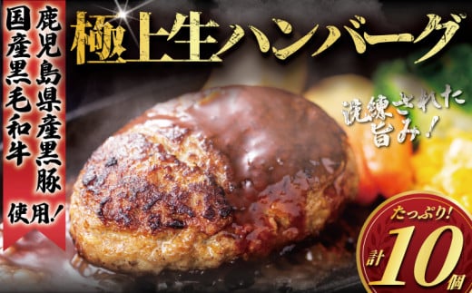国産 黒毛和牛 鹿児島県豚 ハンバーグ 10個 セット はんばーぐ