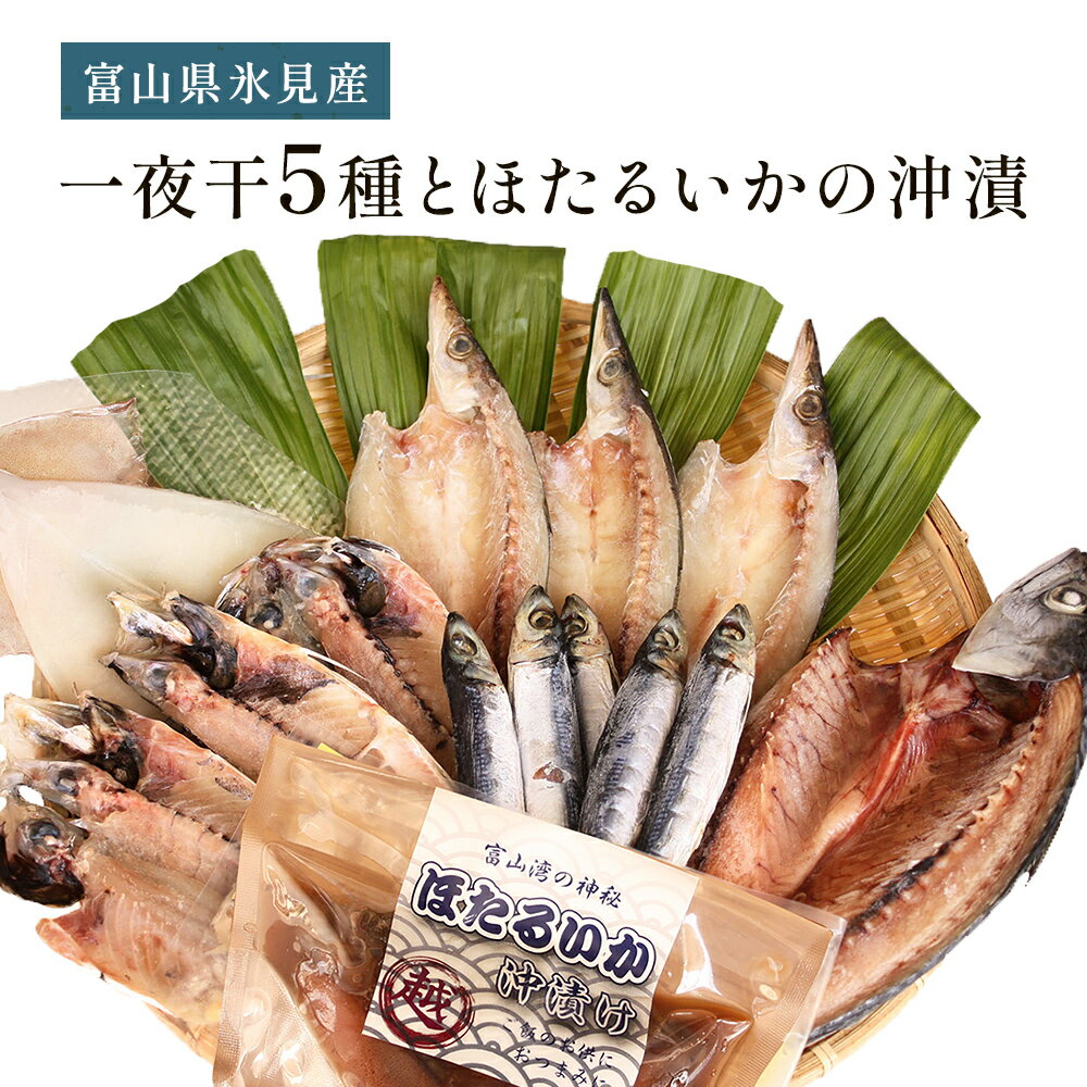【ふるさと納税】《氷見堀与》一夜干5種とほたるいかの沖漬
