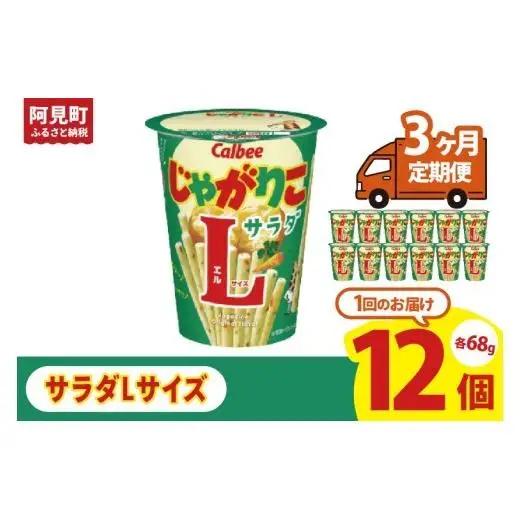 【3ヶ月定期便】カルビー じゃがりこ サラダ Lサイズ 68g×12個｜Calbee お菓子 菓子 おやつ おかし ぽてち ポテチ スナック おつまみ ジャガイモ じゃがいも（93-80）
