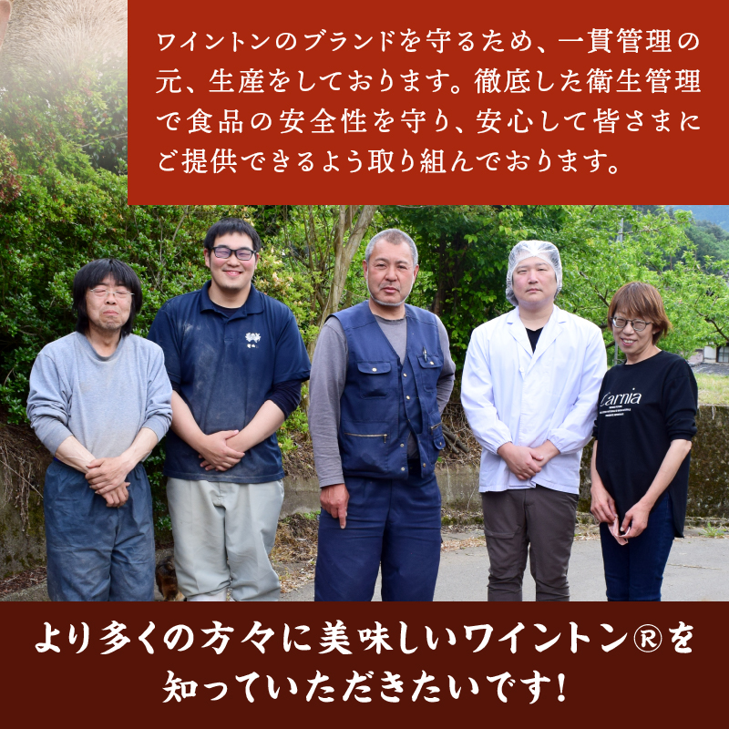 ワイントン 12ヶ月定期便セット 合計10.4kg H-201