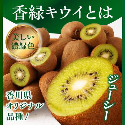 ふるさと納税 三木町 香緑(こうりょく)キウイ　約3kg |  | 01