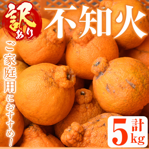 ＜先行予約受付中！2027年2月以降順次発送予定＞＜訳あり・不揃いの為＞数量限定！無加温ハウス不知火(5kg) 国産 鹿児島県 阿久根市 果実 果物 フルーツ 柑橘 みかん ミカン 期間限定 数量限定【桐野柑橘株式会社】akn070-12