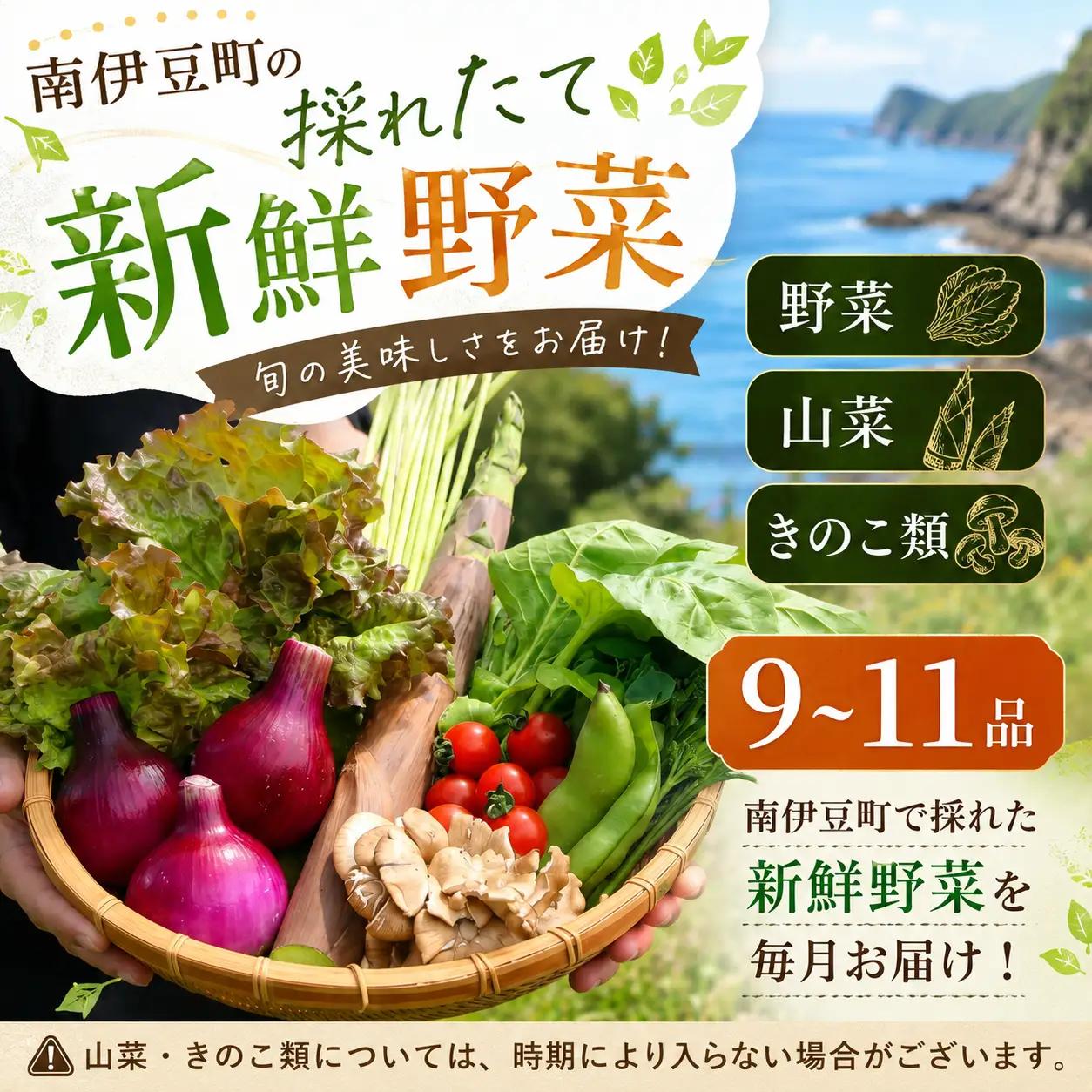 旬の野菜セット 1年間の定期便　　【 朝どれ 野菜 やさい 新鮮 】