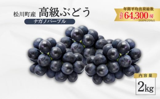 ぶどう ナガノパープル 約2kg ／2026年8月中旬頃～10月頃配送予定［TK07］//長野県 南信州 松川町産 種なし 皮ごと 南信州 長野県 オリジナル品種 稀少 高糖度 高品質 人気 贈答 ギフト