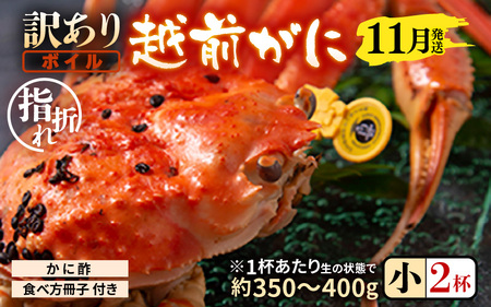 【先行予約】【訳あり】名人が茹でる指折れ訳あり越前がに（小）2杯 (1杯あたり生の状態で約350～400g) やまに仕込み 【11月発送分】【越前ガニ ズワイガニ ずわいがに 蟹 三国 浜茹で 冬の味覚】 [D-4306_11]