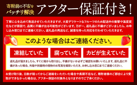 いちご あまおう 540g (約270g×2パック) 苺 送料無料 【着日指定不可】《2024年3月末-4月末頃より出荷予定》 イチゴ 果物 フルーツ 福岡県 鞍手郡 小竹町