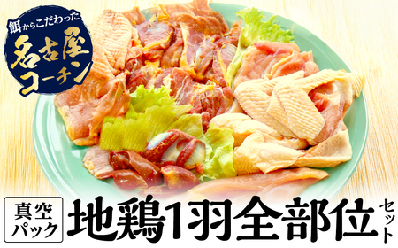 【名古屋コーチン】 丹波篠山地鶏 贅沢 (１羽全部位）  名古屋コーチン  AH03