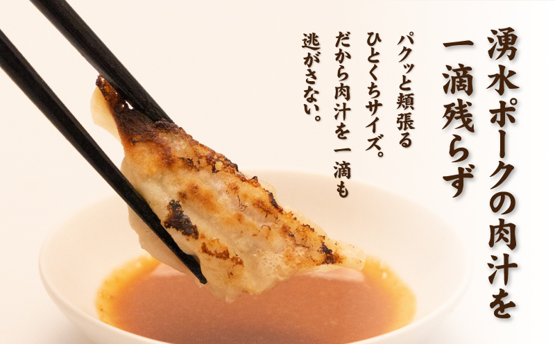 【幻の銘柄豚】富士湧水ポーク使用　冷凍生餃子（秘伝の味噌ダレ付き）　108個｜一口餃子 味噌ダレ 生餃子 ぎょうざ ギョーザ 富士湧水ポーク