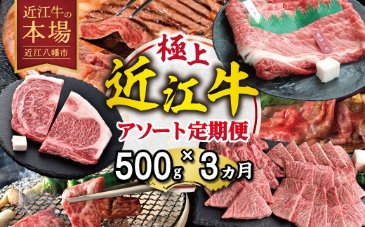 
                  【期間限定】極上近江牛500g　食べ方色々！アソート定期便【ZZ61W】
                