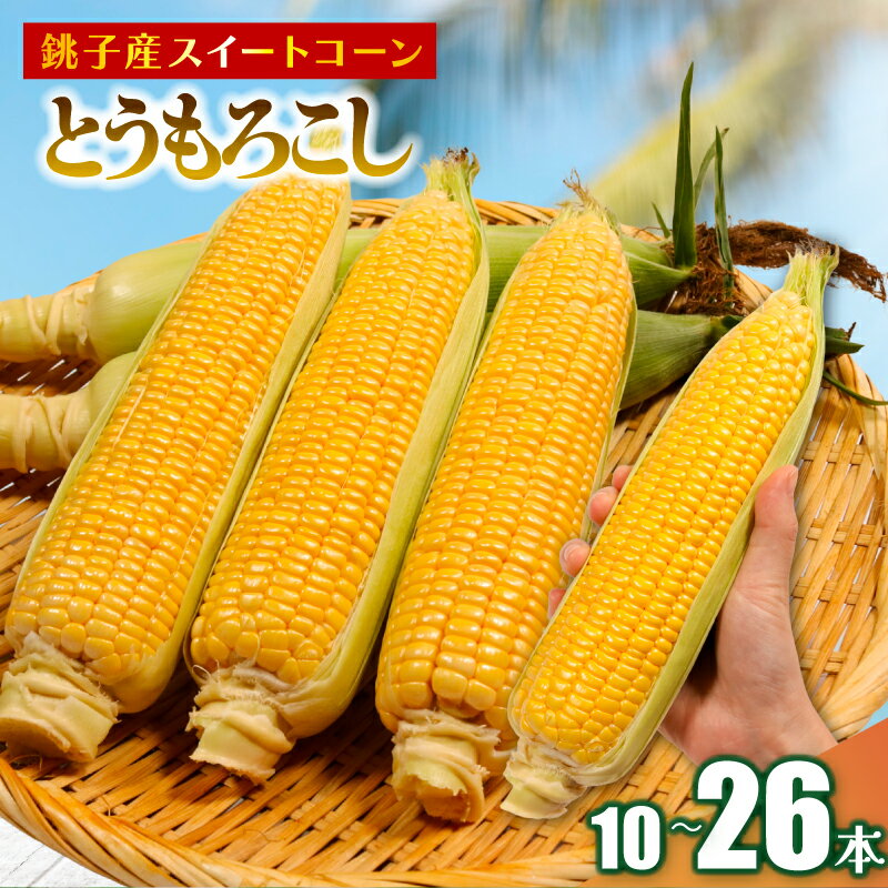 【ふるさと納税】 とうもろこし 【選べる容量】 10～26本 数量限定 期間限定 産地直送 鮮度抜群 大容量 旬の野菜 旬の味覚 甘い トウモロコシ イエローコーン 夏野菜 特産品 お裾分け ギフト 発送時期 2026年7月中旬～(なくなり次第終了) 送料無料 千葉県 銚子市 小野商店