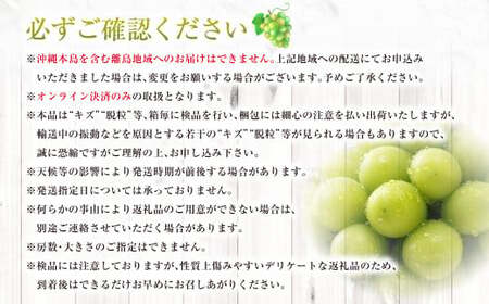 【ふるなびWEEK対象】シャインマスカット 晴王 2kg FN-Limited ぶどう 葡萄 フルーツ 果物 岡山県 岡山県産 2026年 先行予約 【2026年9月下旬-10月下旬発送予定】