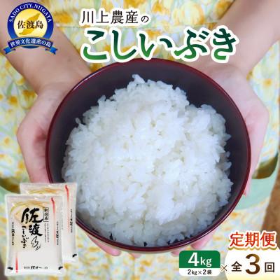 ふるさと納税 佐渡市 【毎月定期便】佐渡 川上農産のこしいぶき 精米4kg(2kg×2袋)全3回