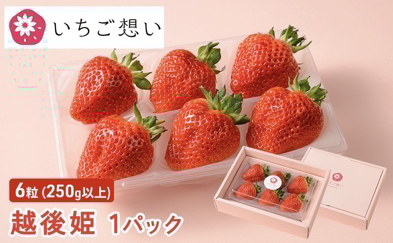 
            きっと想いが伝わるいちご　越後姫 1パック
          