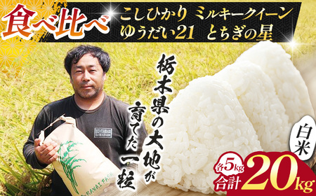 【先行予約】栃木県 下野市 食べ比べセット（コシヒカリ / とちぎの星 / ミルキークイーン / ゆうだい）各5kg 計20kg 米																 																											　米