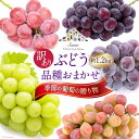 【ふるさと納税】【2025年発送】ぶどう 訳あり 季節の葡萄の贈り物 品種おまかせ 約1.2kg [斎庵 山梨県 韮崎市 20742799] フルーツ 果物 くだもの ブドウ 葡萄 食べ比べ 山梨県産 期間限定 季節限定 冷蔵