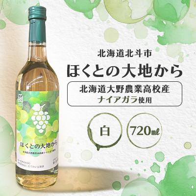 ふるさと納税 北斗市 白ワイン「ほくとの大地から」〜北海道大野農業高校産ナイアガラ〜白720ml