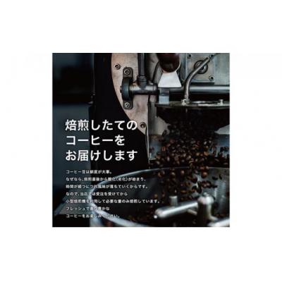 ふるさと納税 堺市 【豆】#074 ブラジル サントアントニオ プレミアムショコラ コーヒー豆 310g |  | 01