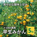 【ふるさと納税】【先行受付】【数量限定】早生みかん（生果）5kg ｜ 柑橘 みかん 温州みかん ミカン 蜜柑 果物 フルーツ 愛媛県産　※2024年11月上旬～12月上旬頃に順次発送予定