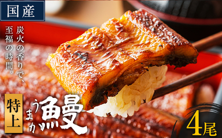 鰻 特上サイズ 4尾|鰻 鰻 鰻 鰻 鰻 鰻 