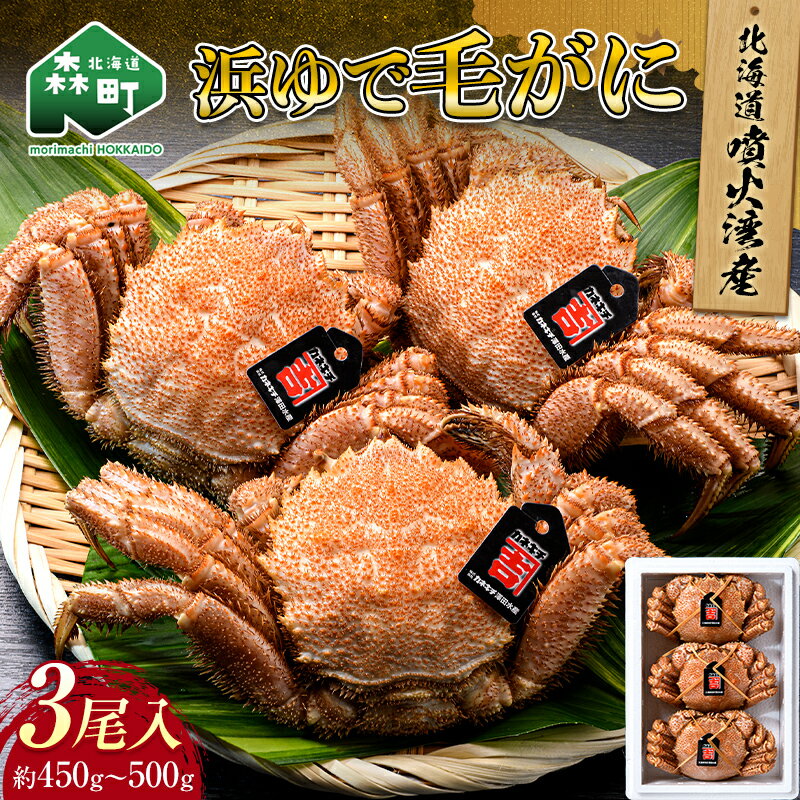 【ふるさと納税】北海道噴火湾産「カネキチ」 浜ゆで毛ガニ 3尾 450g～500g＜カネキチ澤田水産＞ かに カニ 蟹 ガニ がに 森町 ふるさと納税 北海道 毛蟹 毛かに 毛ガニ 毛カニ mr1-1064