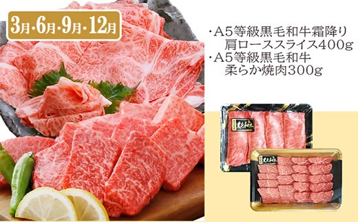 プレミアム定期便(3回)A5等級黒毛和牛(シャトーブリアン・サーロインステーキ等) FF-0055【配送不可地域：離島】